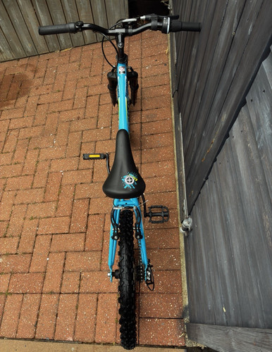 Schwinn kids bike 20in - kids,