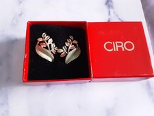 Pair of Clipon Earrings in