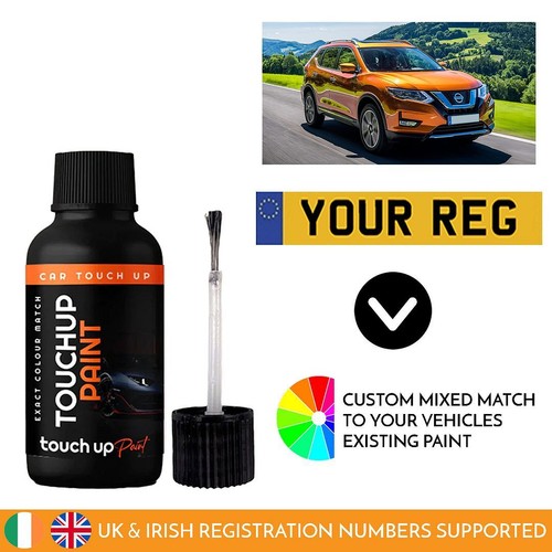 Touch paint for nissan - touch,