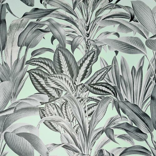 Greenhouse plants wallpaper - greenhouse,