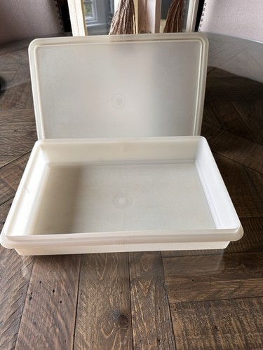 Vintage tupperware sheer white - tupperware,
