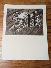 M.C Escher Woodblock 'Puddle' Art Print