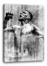 NATE DIAZ BB1 UFC MMA Wall Art Poster Photo Print 30x20 CANVAS