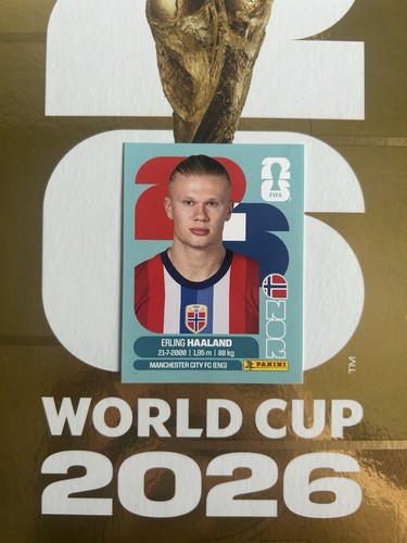Erling haaland - (nor,