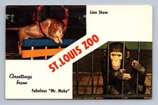Vintage Missouri Postcard ST