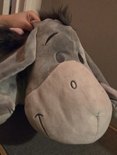 Disney Parks Winnie Pooh