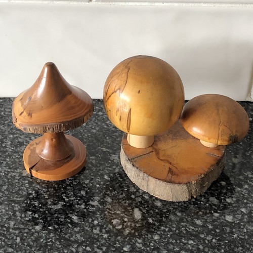 Hand turned wooden mushrooms - turned,