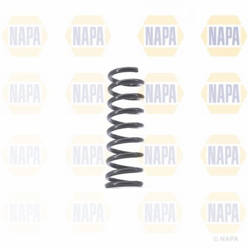 Coil spring rear - spring, mercedes