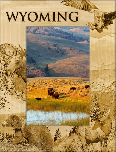 Wyoming laser engraved wood - wyoming,