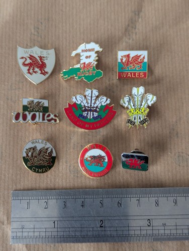 Wales enamel pin - wales,