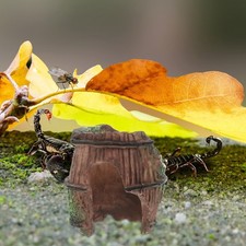 Bearded Dragon Cage Basking