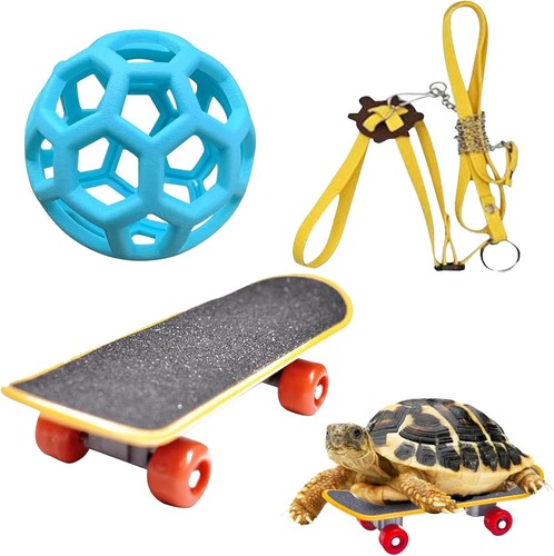 Tortoise toys - toys,,