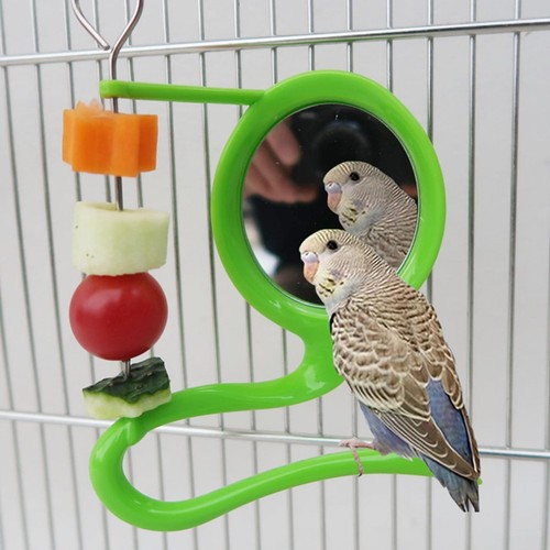 Parrot perch bird mirror - perch,