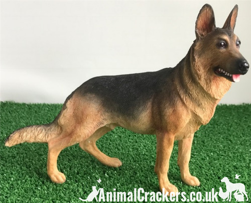 Alsatian german shepherd - german,