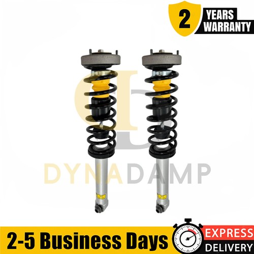 Rear shock absorbers struts - rear,