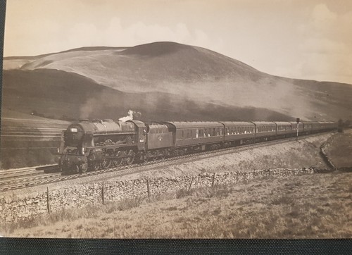 Royal welch fusiliers 46118 - royal,