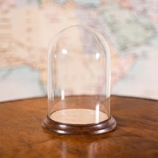 Small Antique Display Dome