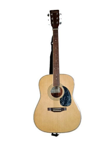 Encore 255 semi - ea, semi-acoustic