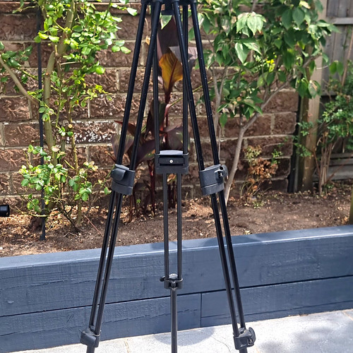 Manfrotto 525mv tripod 501 - manfrotto,