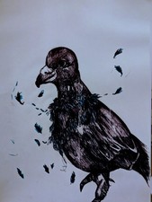 Pigeon with Blue Feathers Pen Portrait Unframed A4 Wall Decor Home Gift Art