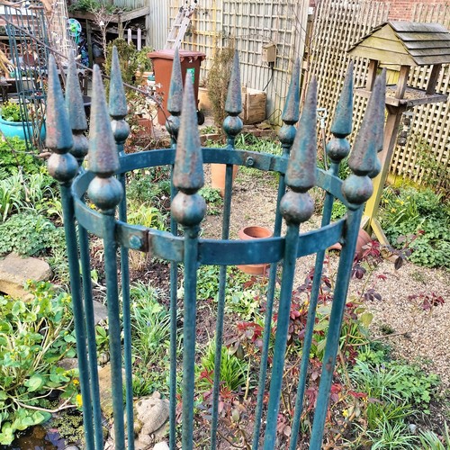 Tree guard rare original - guard, –