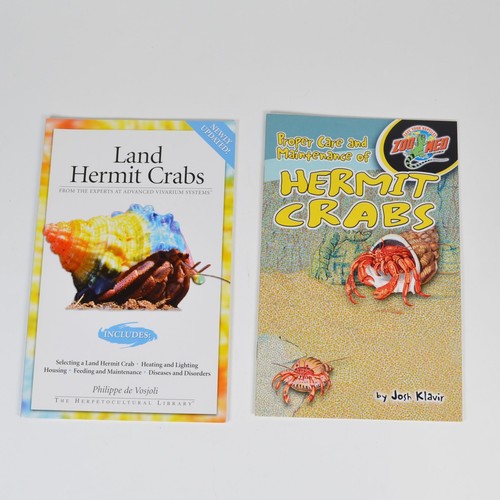 Land hermit crabs - by, philippe