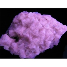 KB: GREAT FL. & PHOS. BLUE/WH