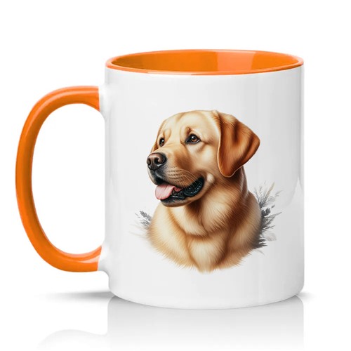 Yellow labrador retriever - labrador,
