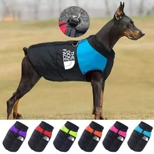 The Dog Face Large Winter Pet