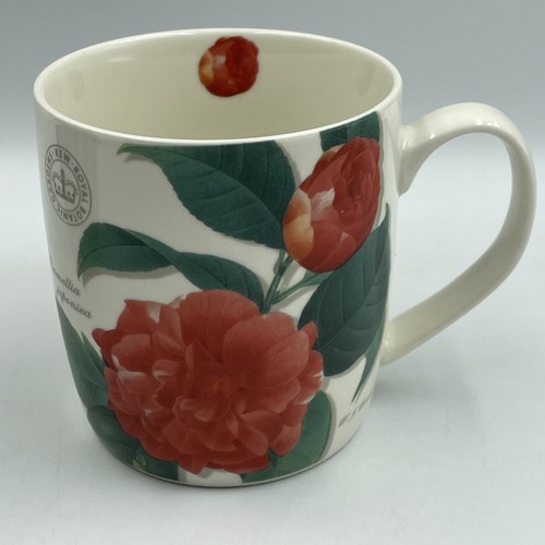 Kew gardens floral mug - kew,