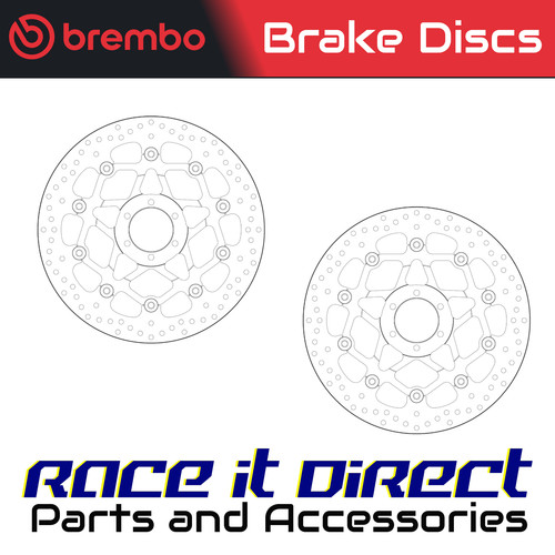 Brake disc for - brake,