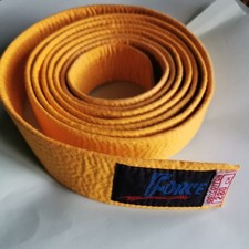 Force Judo Karate Jiu Jitsu Kickboxing Grading Belt Yellow Size 280cm