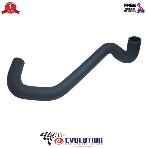 Radiator overflow tank hose - tank,