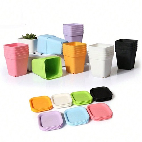 Square plant pots rigid 7cm - pots,