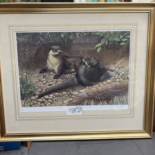 Adrian rigby signed limited - adrian,