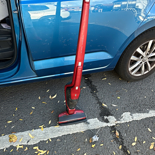 Aeg cx7 animal cordless stick - cx7,
