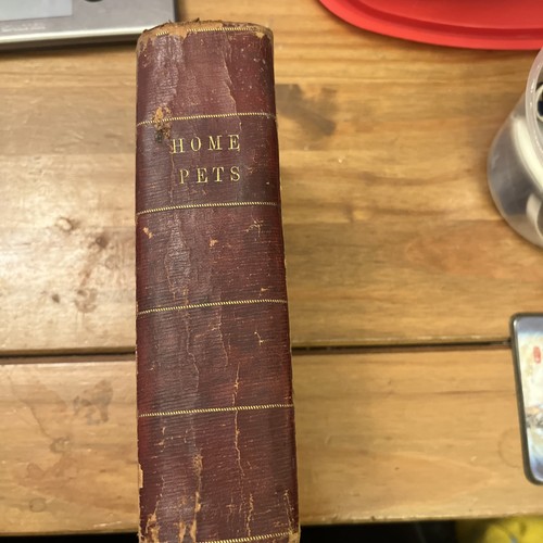The book home pets - the,