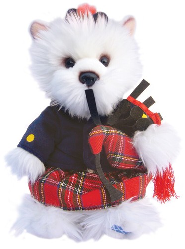 West highland terrier - terrier, teddy