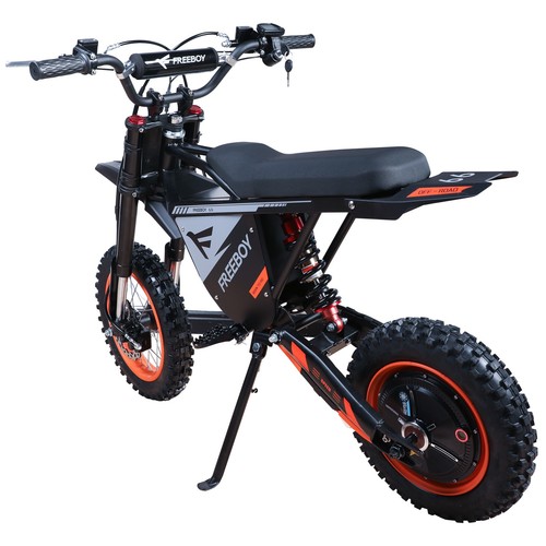 Freeboy y66 electric - freeboy,