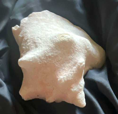 Large white natural - large, unpolished