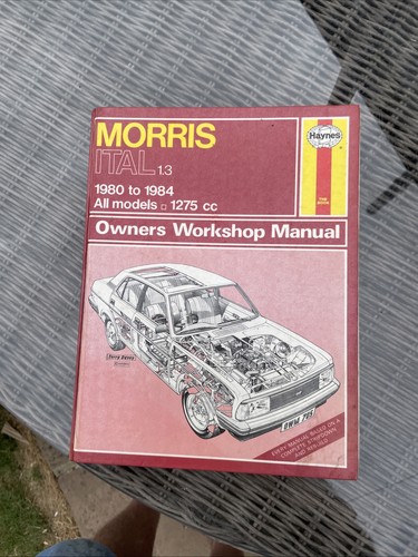 Morris ital 1980 - to, 1984