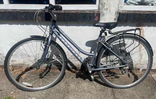 Ridgeback motion speed grey