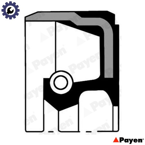 Shaft seal crankshaft nc006 - crankshaft,
