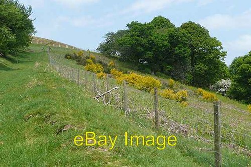 Photo 6x4 towards moelfre - photo,