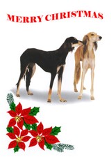 SALUKI SINGLE DOG PRINT