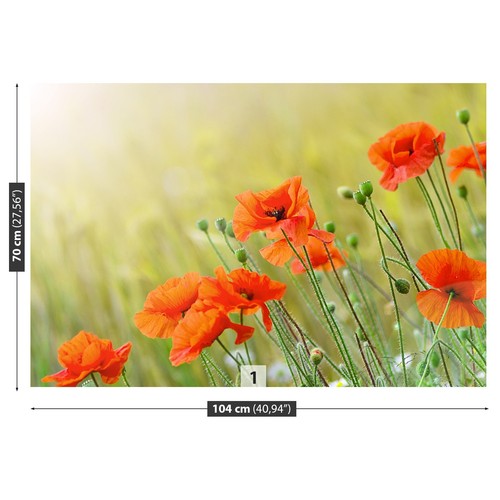 Non woven wall mural photo - non,