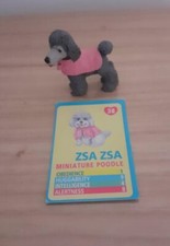 Puppy in my pocket vintage toy. #38 Zsa Zsa the Poodle + ID card
