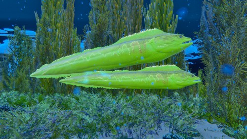 Ark survival ascended - survival,