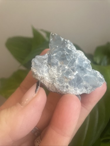 Celestite small cluster - celestite,