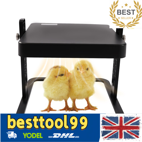 X10 chick brooder heat - chick, brooder/heat